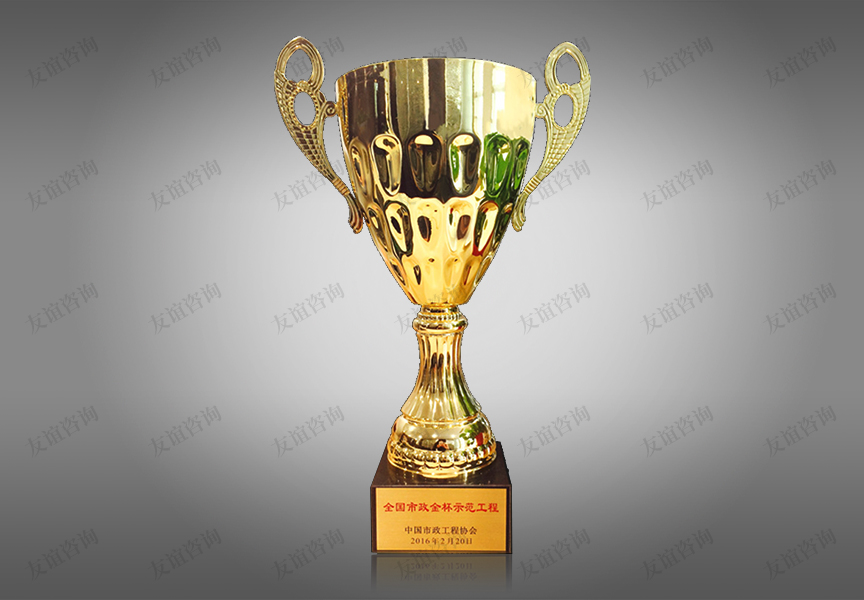 全國(guó)市政金杯示范獎(jiǎng)